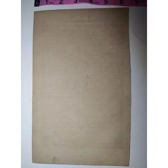 Antique Buffon Engraving Hand Colored 2 Monkeys 'Le Ouititi Le Tamarin' 10x7" - Picture 7 of 10